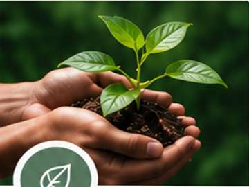 Gestión ambiental